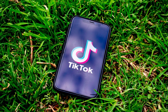 TikTok Advertisement