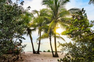 5 Sizzling Hot Tips for a Miami Beach Summer 5 Sizzling Hot Tips for a Miami Beach Summer