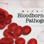 Effective Ways of Cleaning Up Bloodborne Pathogens And Bodily Fluids-min