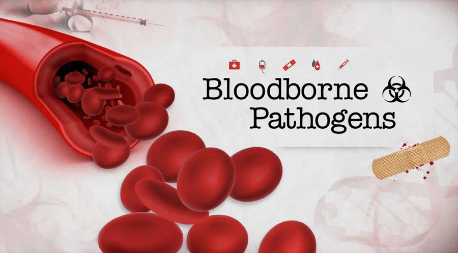 Effective Ways of Cleaning Up Bloodborne Pathogens And Bodily Fluids-min