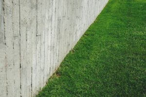 Why New Homeowners Should take A Lawn Care Course