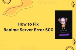 How to Fix 9anime Server Error 500