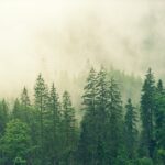 What Is Greenhushing