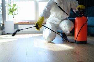 When Should You Seek Residential Pest Control Services