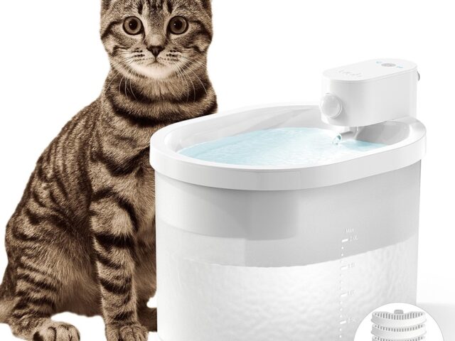 Battery-Powered Cat Fountain