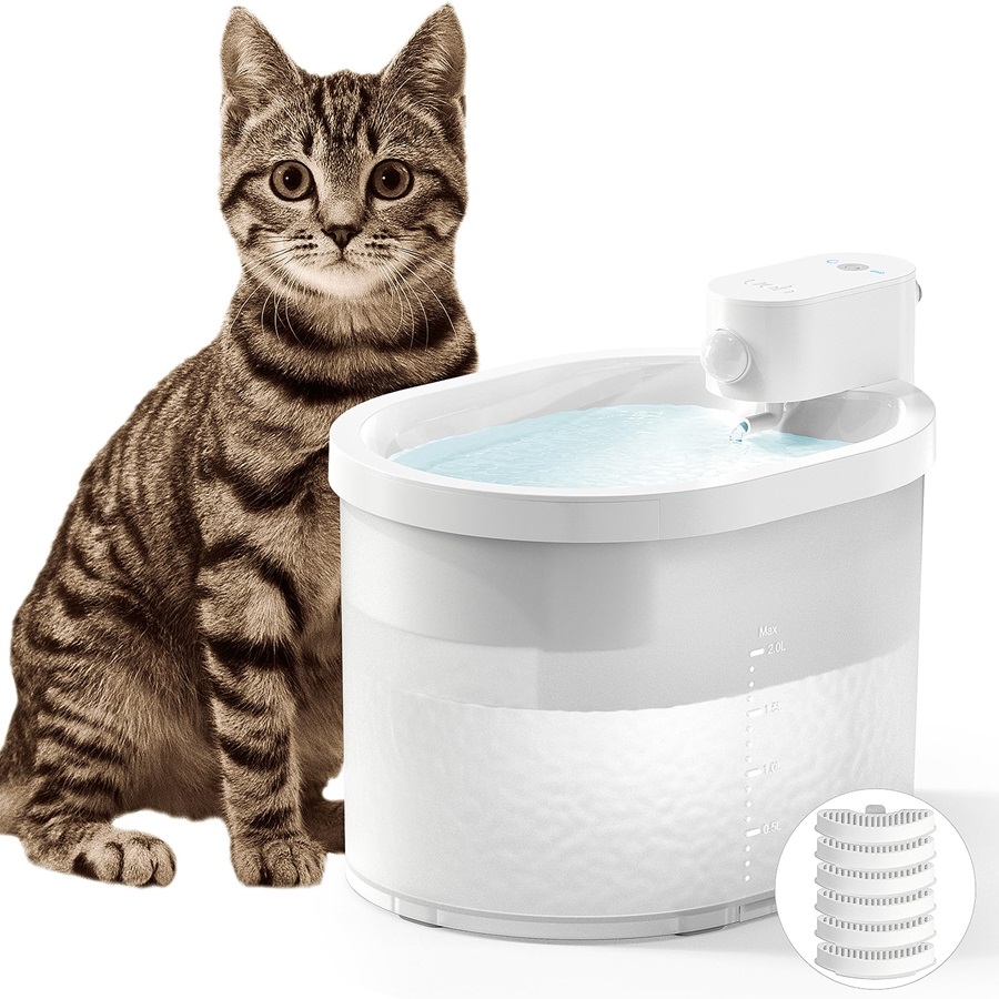 Battery-Powered Cat Fountain