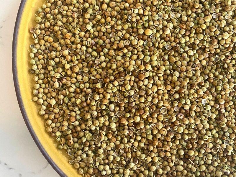 Coriander Seeds