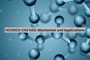 HCOOCH CH2 H2O