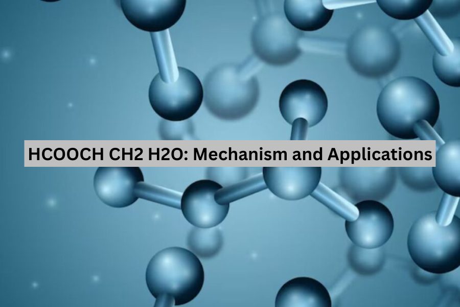 HCOOCH CH2 H2O