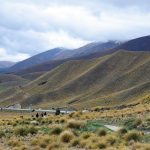 Planning a Trip to Australia or New Zealand