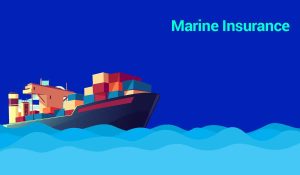 Role of Marine Insurance in Protecting High-Value Cargo Shipments Marine Insurance
