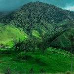 Igatpuri Hills