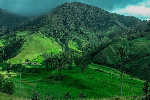 Igatpuri Hills
