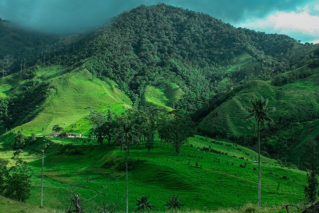 Things to Expect when Staying at Resorts in Igatpuri Hills Igatpuri Hills