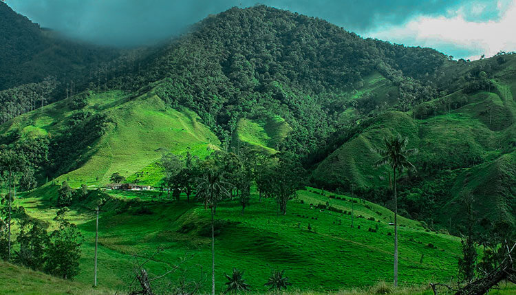 Things to Expect when Staying at Resorts in Igatpuri Hills Travel - Tours