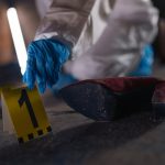Inside a Sex Crime Case