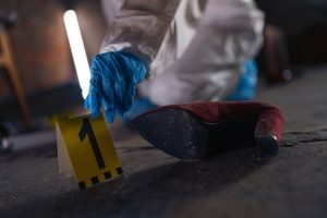 Inside a Sex Crime Case: The Evidence That Quietly Shapes the Entire Defense Strategy Inside a Sex Crime Case