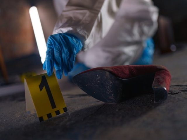 Inside a Sex Crime Case: The Evidence That Quietly Shapes the Entire Defense Strategy Inside a Sex Crime Case