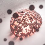 Everyday Habits That Support Cellular Energy