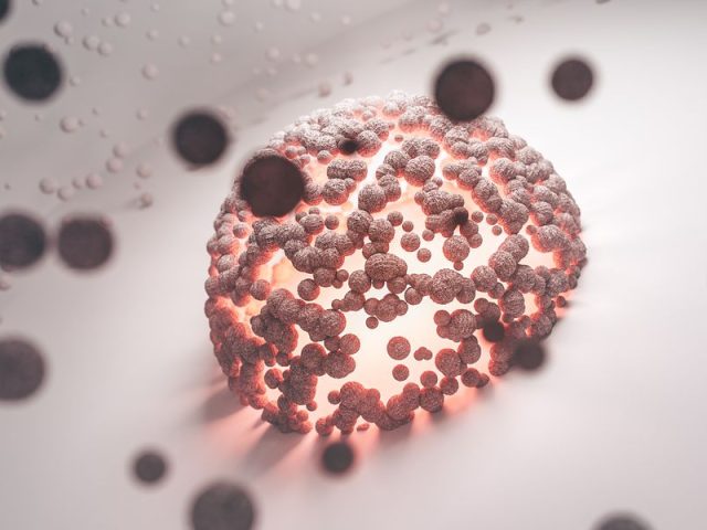 Everyday Habits That Support Cellular Energy
